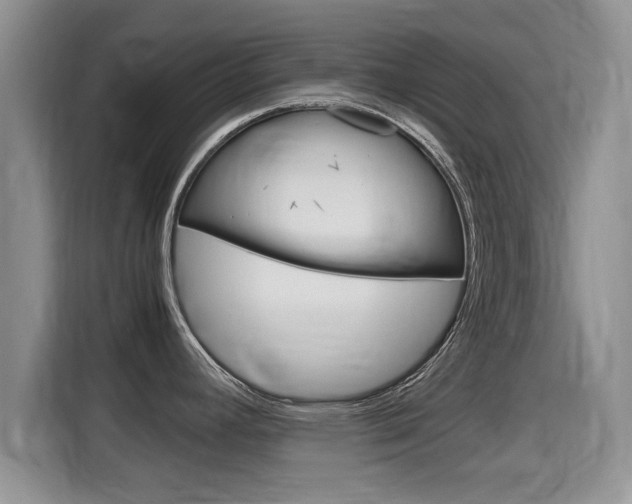 X0000115701392200911120934