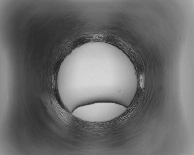 X0000115701395200911120934