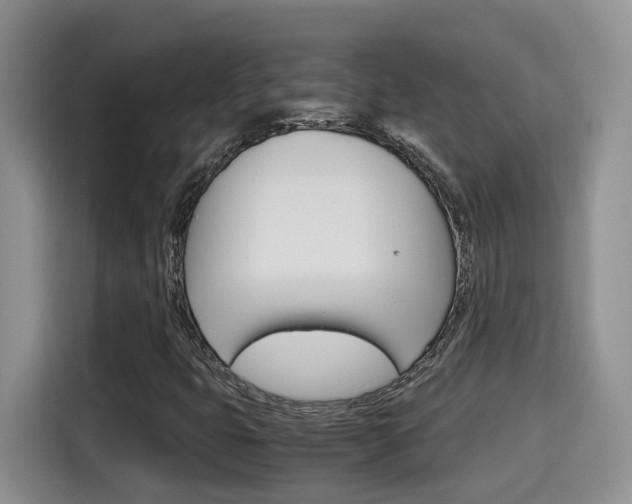 X0000115701399200911120934