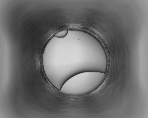 X0000115701401200911120934