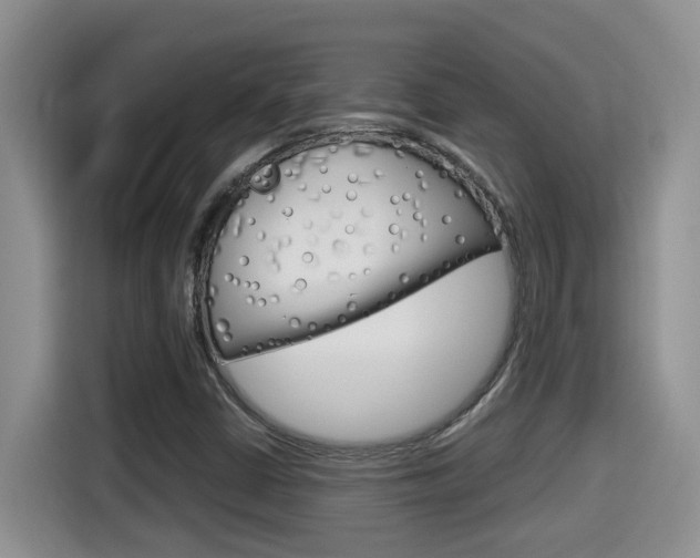 X0000115701402200911120934