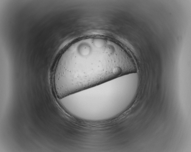 X0000115701404200911120934