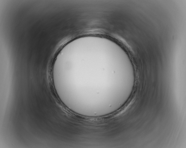 X0000115701405200911120934