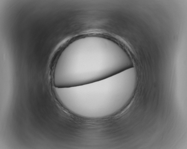 X0000115701406200911120934