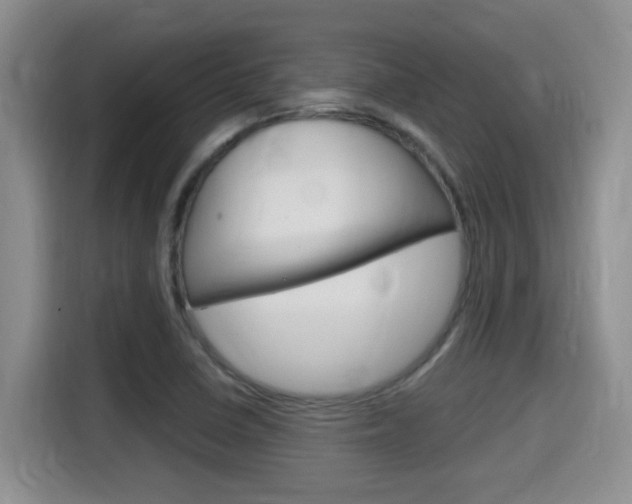 X0000115701410200911120934
