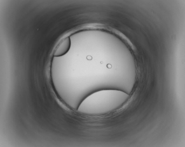 X0000115701421200911120934
