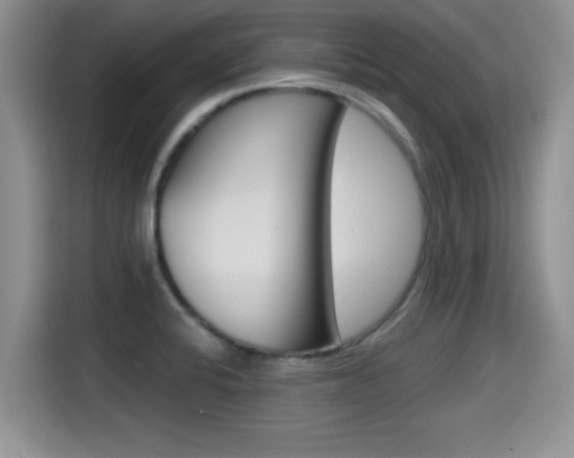 X0000115701424200911120934