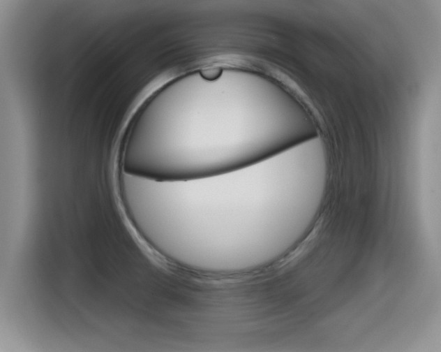 X0000115701426200911120934