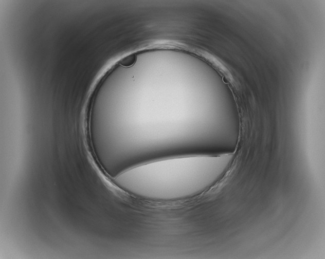 X0000115701430200911120934