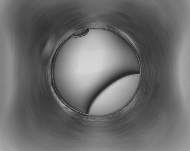 X0000115701434200911120934