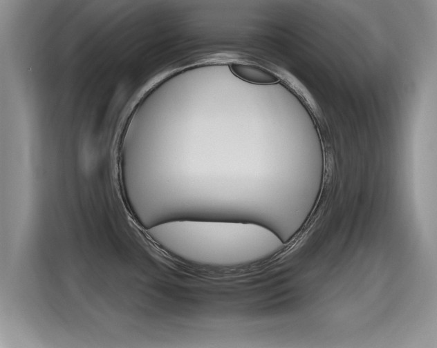 X0000115701435200911120934