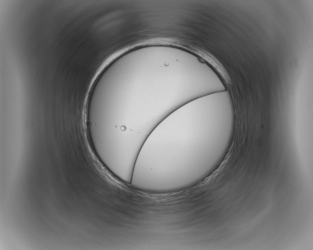 X0000115701436200911120934