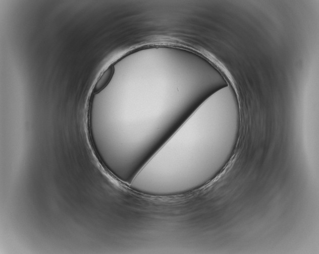 X0000115701437200911120934