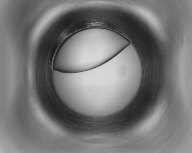 X0000115701438200911120934
