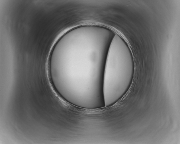 X0000115701440200911120934