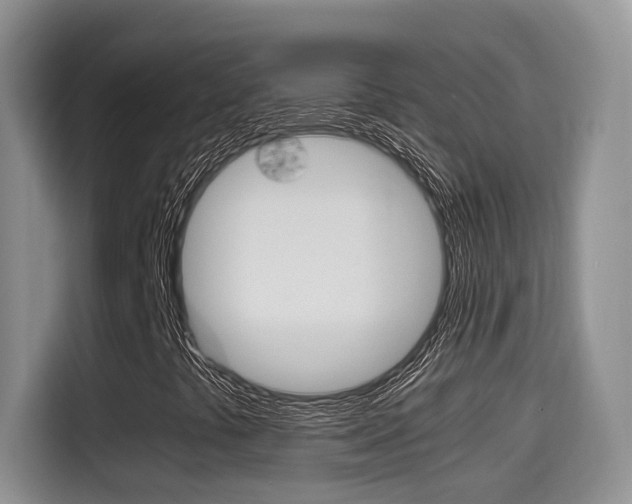 X0000115701441200911120934