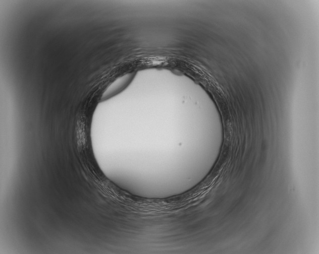 X0000115701442200911120934