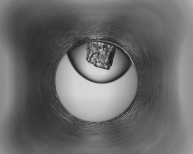 X0000115701444200911120934