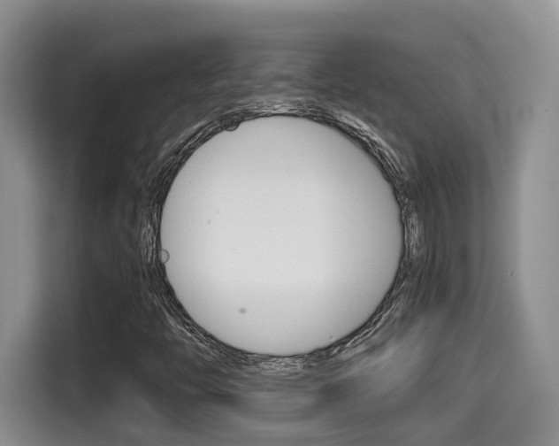X0000115701446200911120934