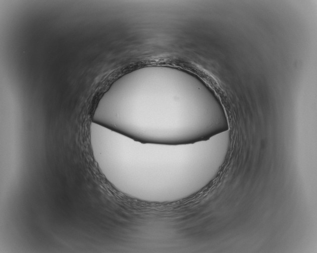 X0000115701447200911120933