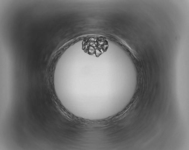 X0000115701448200911120933