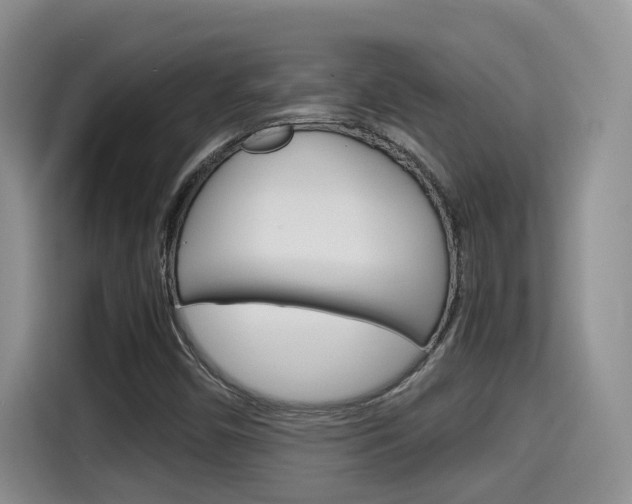 X0000115701450200911120933