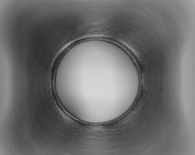 X0000115701452200911120933