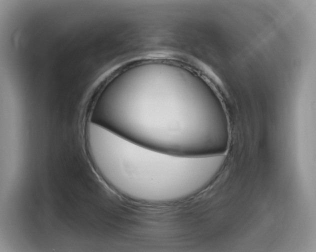 X0000115701456200911120933