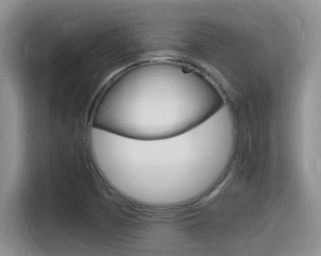 X0000115701457200911120933