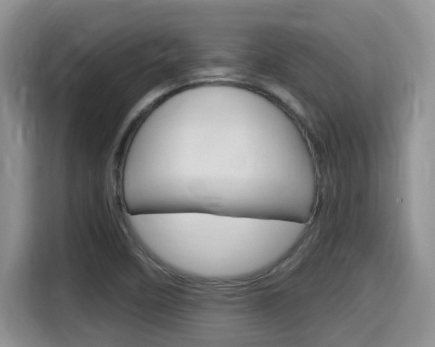 X0000115701458200911120933