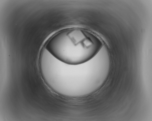 X0000115701460200911120933