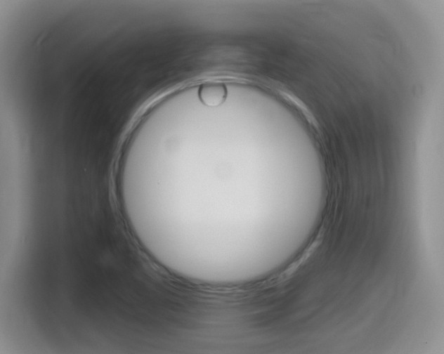X0000115701461200911120933