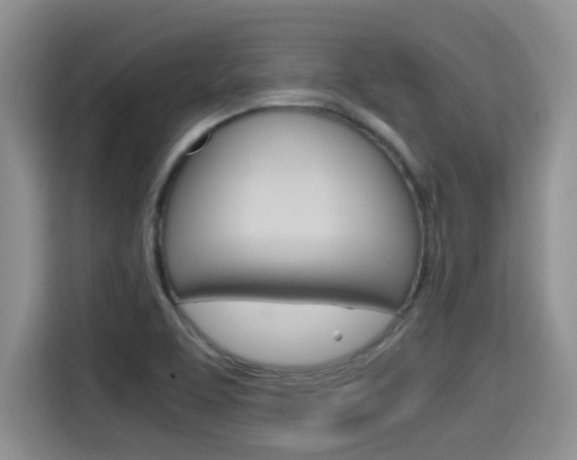 X0000115701463200911120933