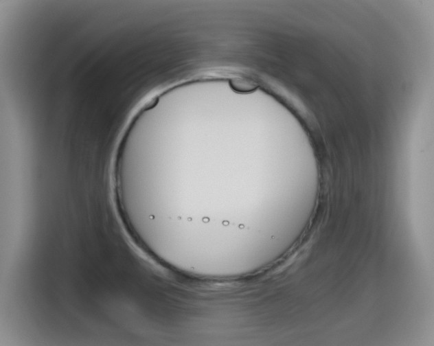 X0000115701471200911120933