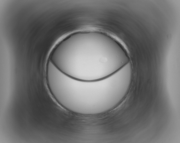 X0000115701477200911120933