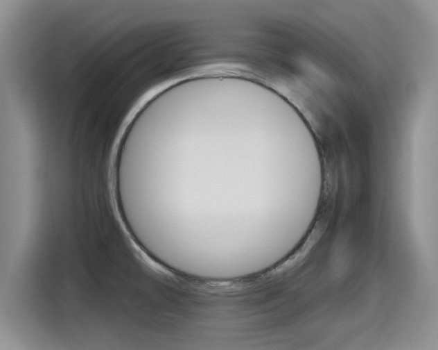 X0000115701478200911120933
