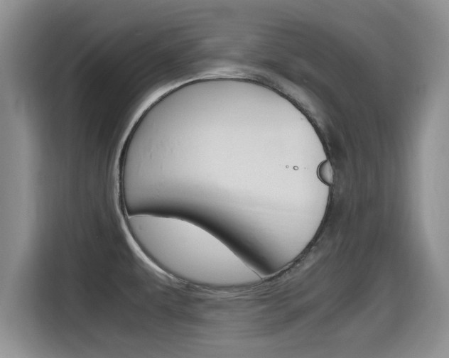 X0000115701479200911120933