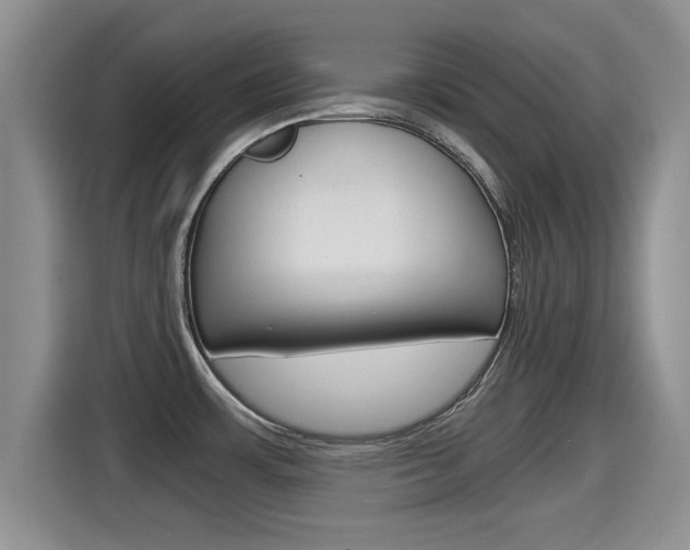 X0000115701483200911120933