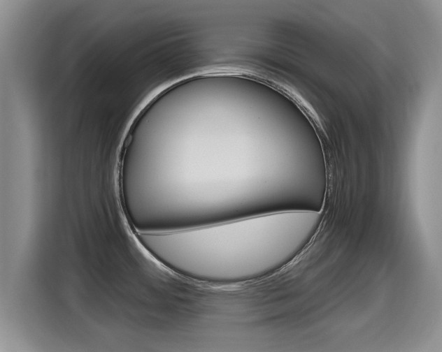 X0000115701484200911120933