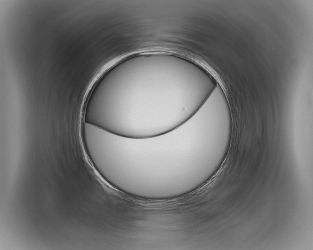 X0000115701485200911120933