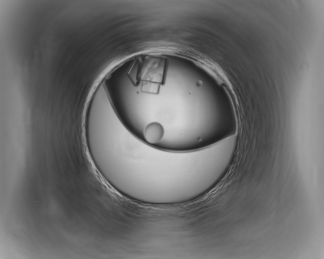 X0000115701488200911120933