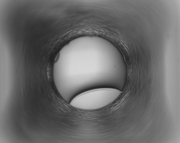X0000115701490200911120932