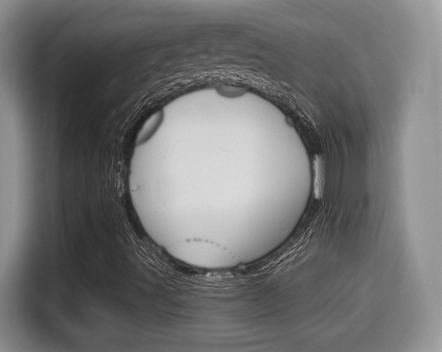 X0000115701491200911120932