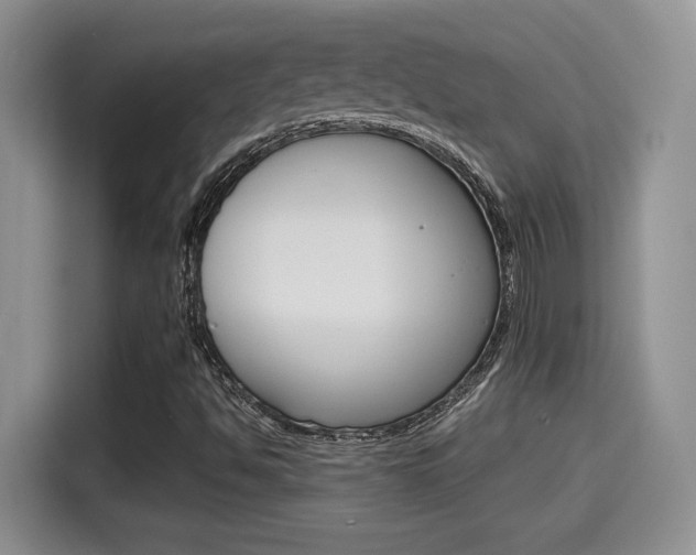 X0000115701494200911120932