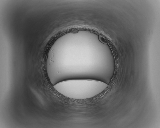 X0000115701495200911120932