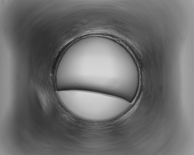 X0000115701497200911120932