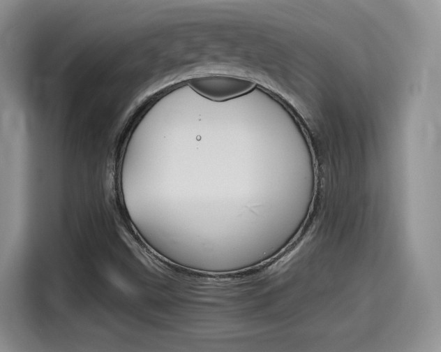 X0000115701499200911120932