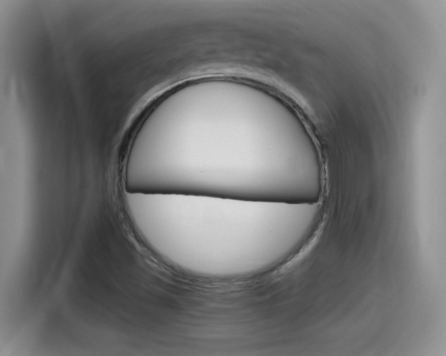 X0000115701501200911120933