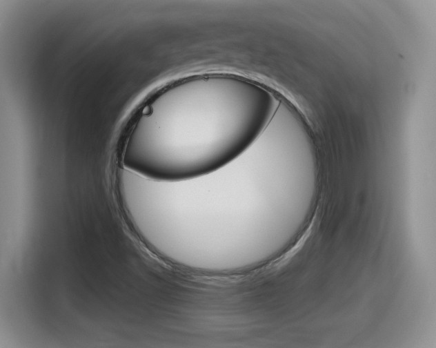 X0000115701502200911120933
