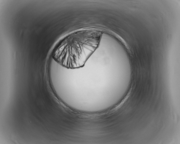 X0000115701506200911120933